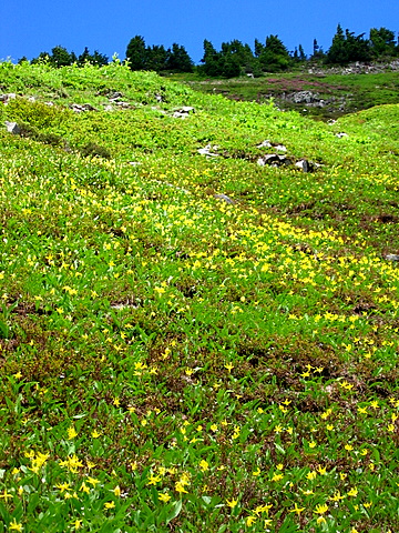 Click any photo to enlarge