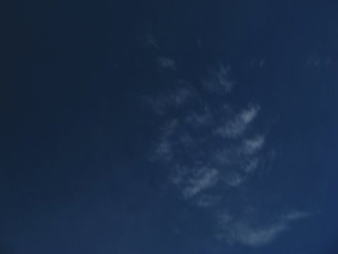 Camera Fall